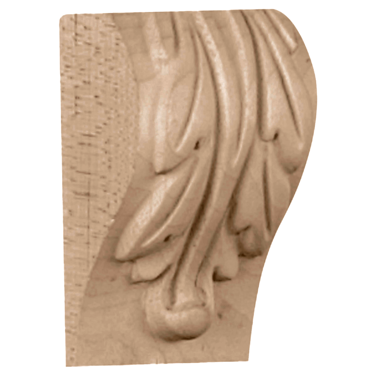 CORBA0 Acanthus Leaf Block Corbel